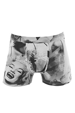 Boxer